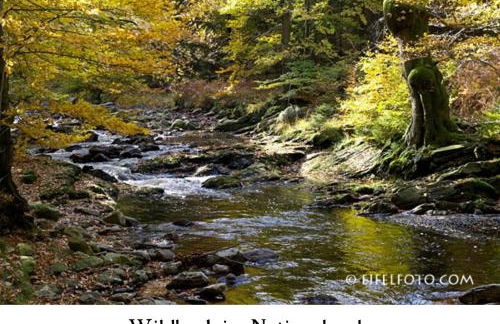 Ferienwohnung Gross A - Foto 20