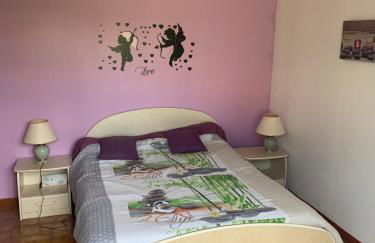 T2 indépendant proche OL Stadium et salle LDLC Arena - Foto 3