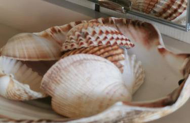 Lenzenhof anno 1720 I - Photo 11