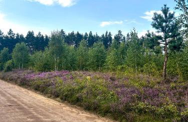 Ostoja Bukowo 12,2 chata u szôłtësa - Foto 23