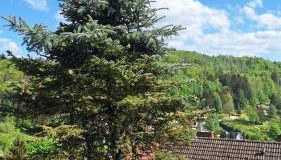 Haus Westharz Goslar - Foto 4