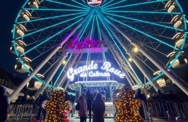 Le charme d'Alsace - Foto 1