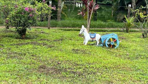 Chácara Belas Águas - Foto 4