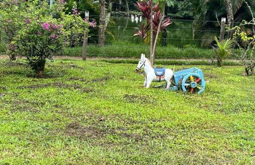 Chácara Belas Águas - Foto 4