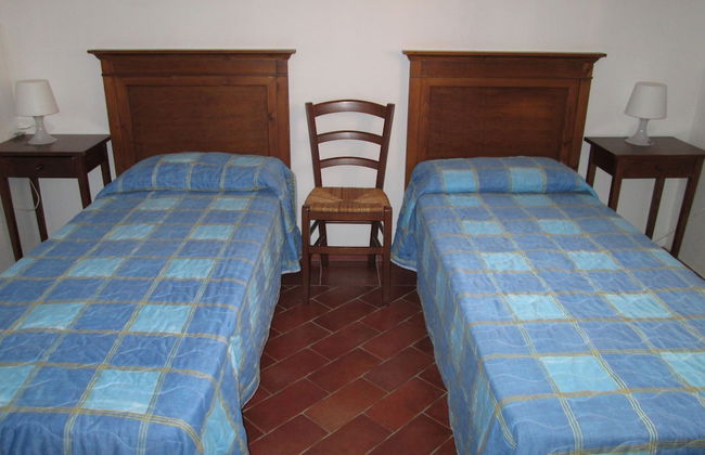 Fattoria La Steccaia - Foto 9