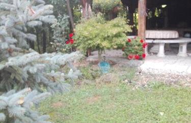 Kuća za odmor EDEN - Foto 11