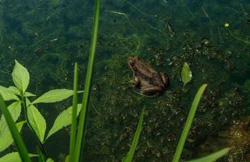 Lux Tiny House with Waterfront, Kayaks, Hot Tub, Arcade - Photo 35