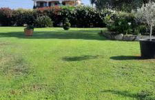 Le jardin de Domi - Foto 25