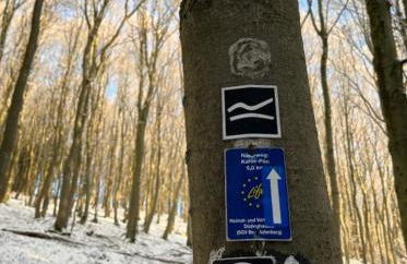 Fachwerkhaus im Sauerland - Goldhase Anno 1700 - Foto 61
