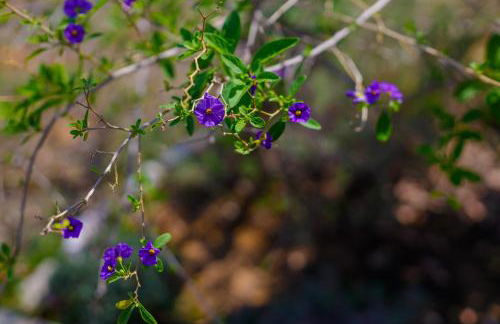 Alethea's Sea View Apartment - Foto 71