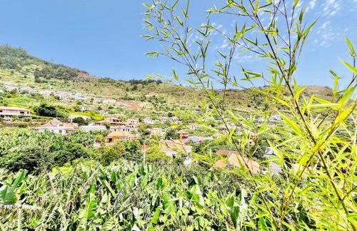 Casa das Amoreiras by YMR - Foto 32