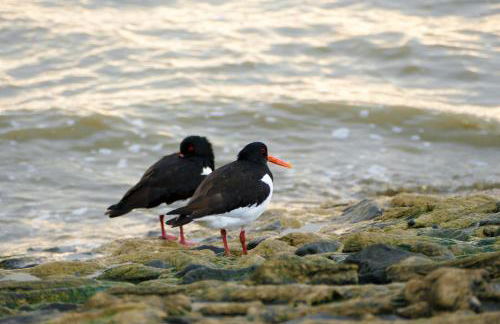 Ferienwohnung für 2 Personen Wellness & Radverleih - Photo 26