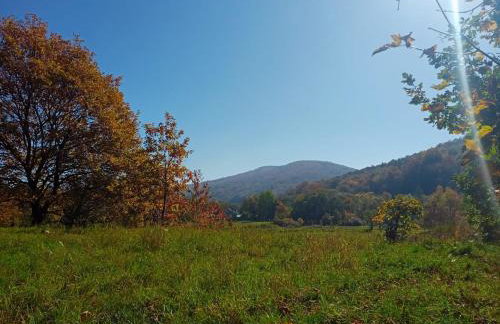 ROKOSZ - Noclegi Beskid Niski - Foto 8