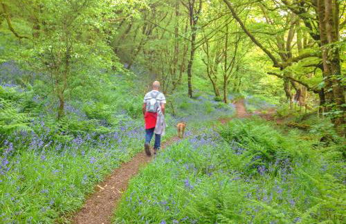 Yr Hen Gof - Foto 14