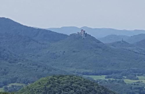 Ferienhaus Hedwig - Foto 30