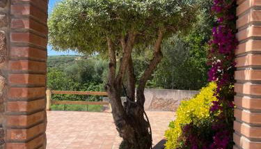 La Casa Sul Lago - Foto 4