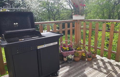 Dom na Warmii -Siedlisko Jabłonka - Foto 25