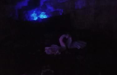 Residenza Nosy Be - Foto 63