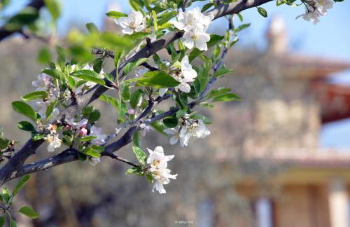 Il Casale degli Ulivi - Foto 15