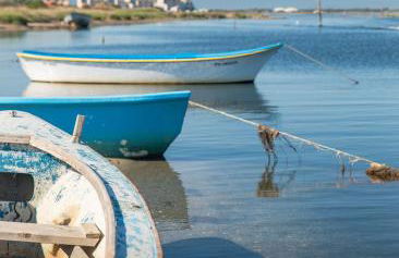 Le Mas aux Amoureux , Suite Romantique et Spa - Foto 36