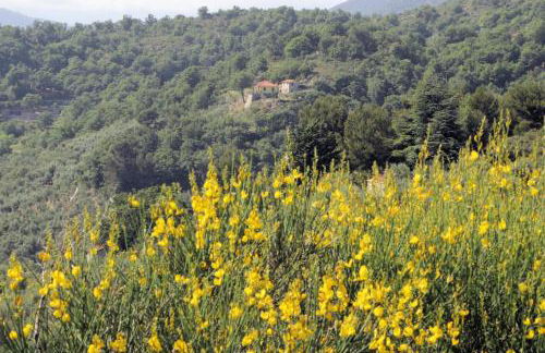 Case Natura - Foto 2