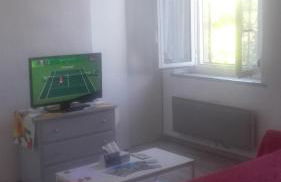 L'oiseau bleu - Foto 20