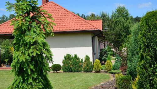 Dom na wakacje nad Zalewem Sulejowskim - Foto 4, Garden