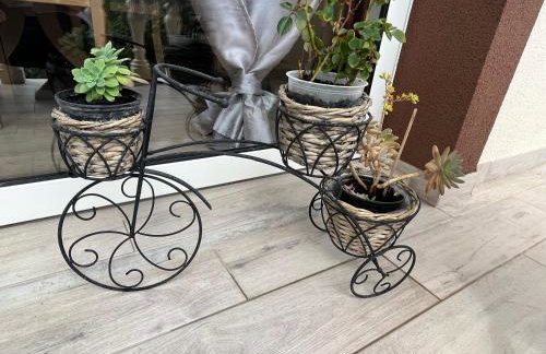 Kuća za odmor Antonini - Foto 20