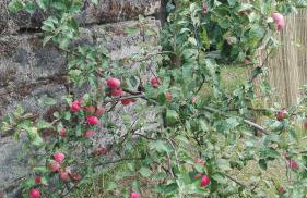 Dom w spokojnej okolicy - Foto 17