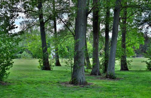 Cisza & Spokój - Foto 18