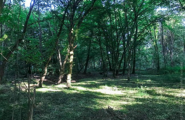 Flat in Birlenbach Near Laurenburg Castle - Foto 34