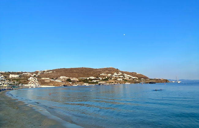 Mykonos Twins - Photo 61