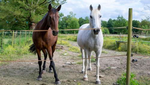 L'Evasion en Pierre Piscine et Étang Privé - Photo 3, Garden, Garden view