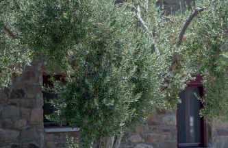 Villa & Stone House with Pool, 10 Mins to Skala Eressos Beach - Foto 44