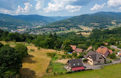 Maison de charme Haslach 300m2 Grand séjour 15 personnes - Belles vues ! - Foto 50