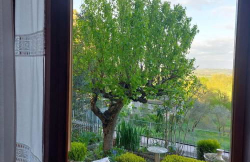 La Casa di Rina - Foto 24