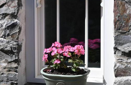 Bro Deg - Moylegrove - Foto 23