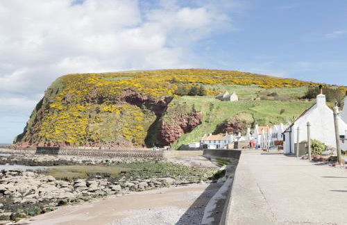 St Magnus Haven - Foto 24