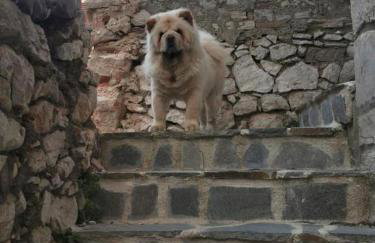 Tisno Resort - Photo 18