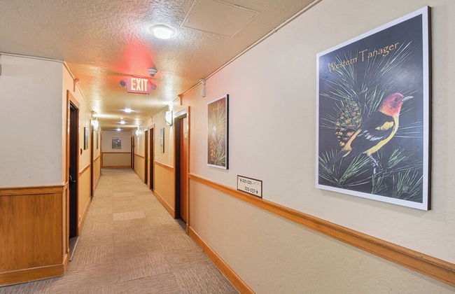 Northstar Beauty Studio Condo in Heart of Resort - Foto 27