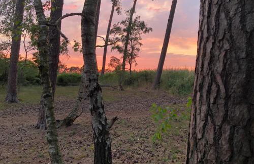 Haus Haddorfer See "Hus vi d Sjön" - Foto 32