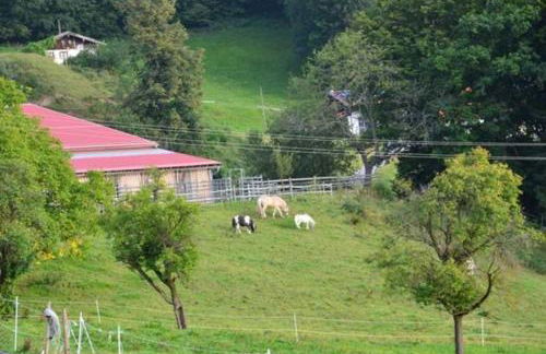 Hof Rossruck - Foto 14