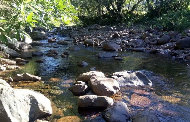 Tiny House Garden - Praia Grande - SC - Foto 56