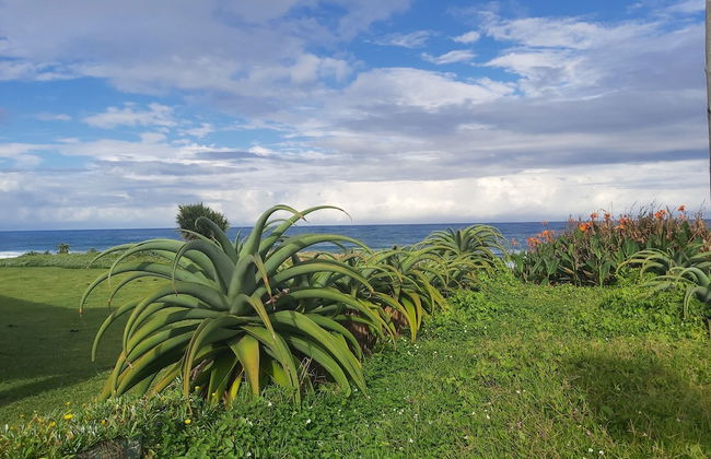 Southern Comfort On the Sea - Foto 27