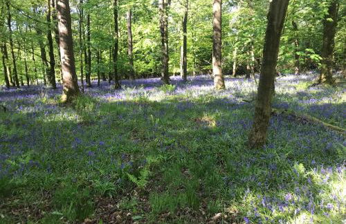 Ingledale Apartment, Ingleton, Yorkshire Dales National Park, Famous Three Peaks, Near The Lake District, Pets Are Welcome - Foto 51