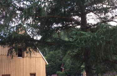 La Gambas des Bois - Foto 57