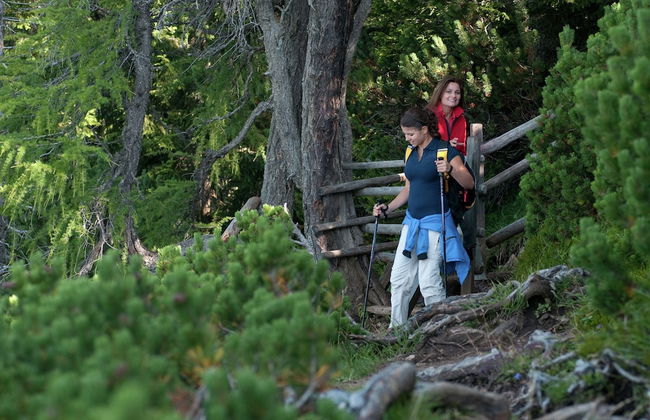Modern Apartment With Garden Near the Petzen ski Area in Eberndorf / Carinthia - Foto 69