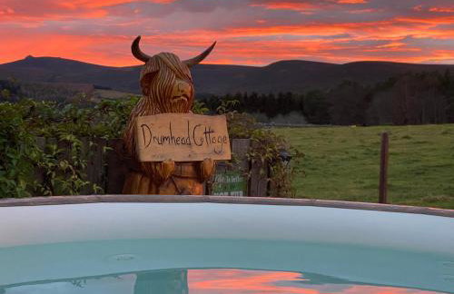 Drumhead Cottage Finzean, Banchory Aberdeenshire Self Catering with Hot Tub - Foto 27