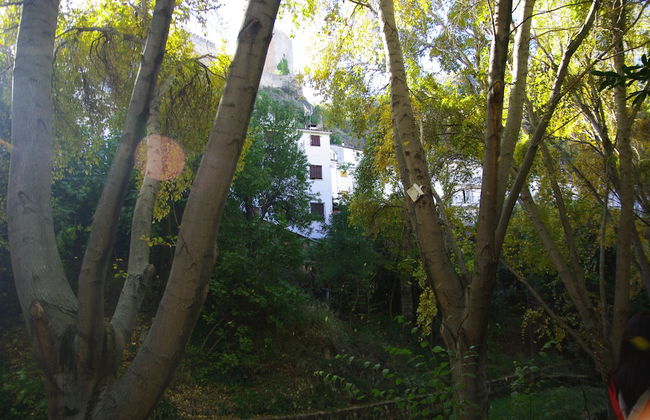 Vivienda Rural Rio Cerezuelo - Photo 40