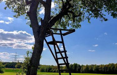 Premium Vulkaneifel Chalet - Foto 46